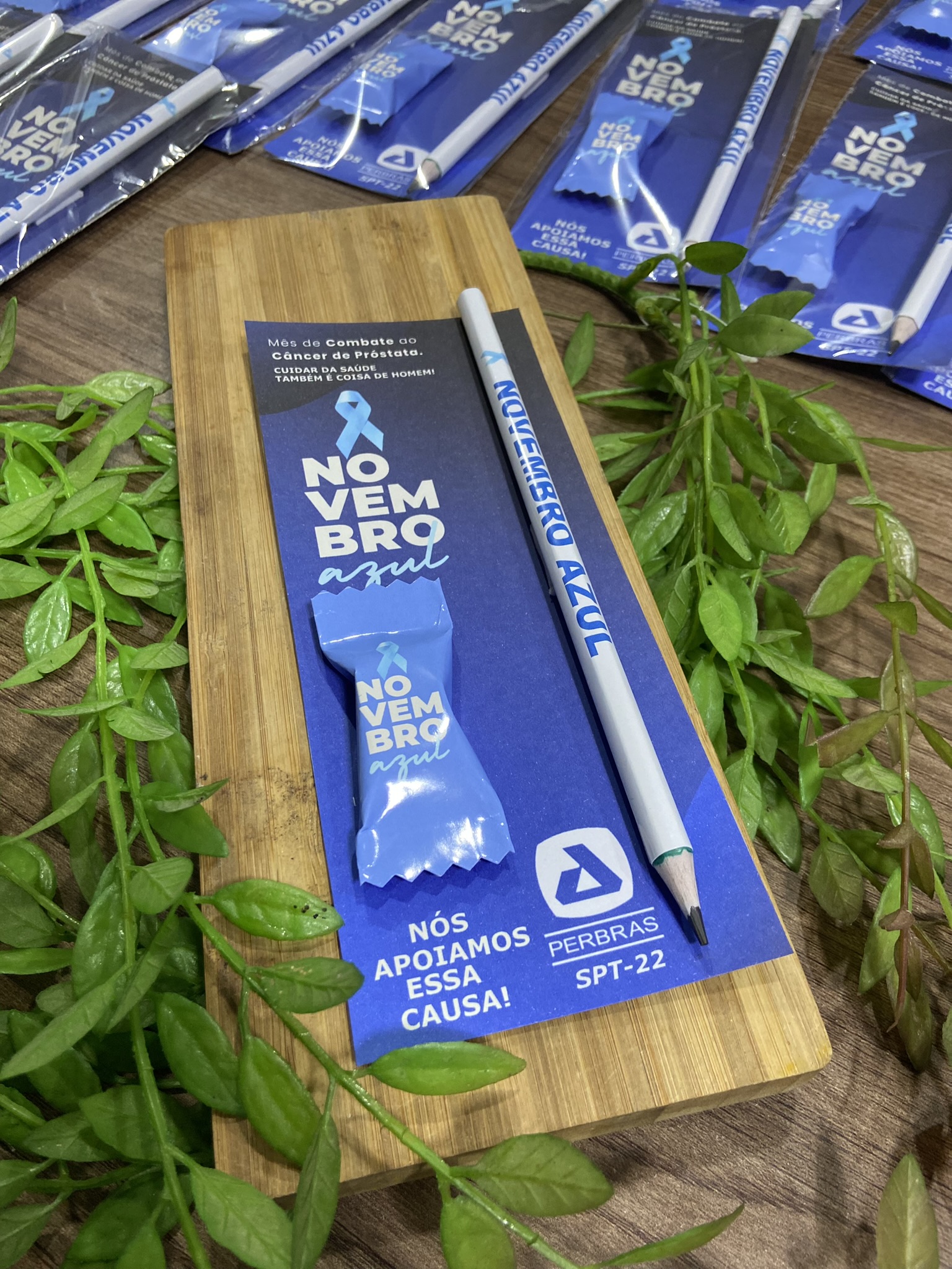 10 Lapis  + 10 Balinhas + 10 Cards