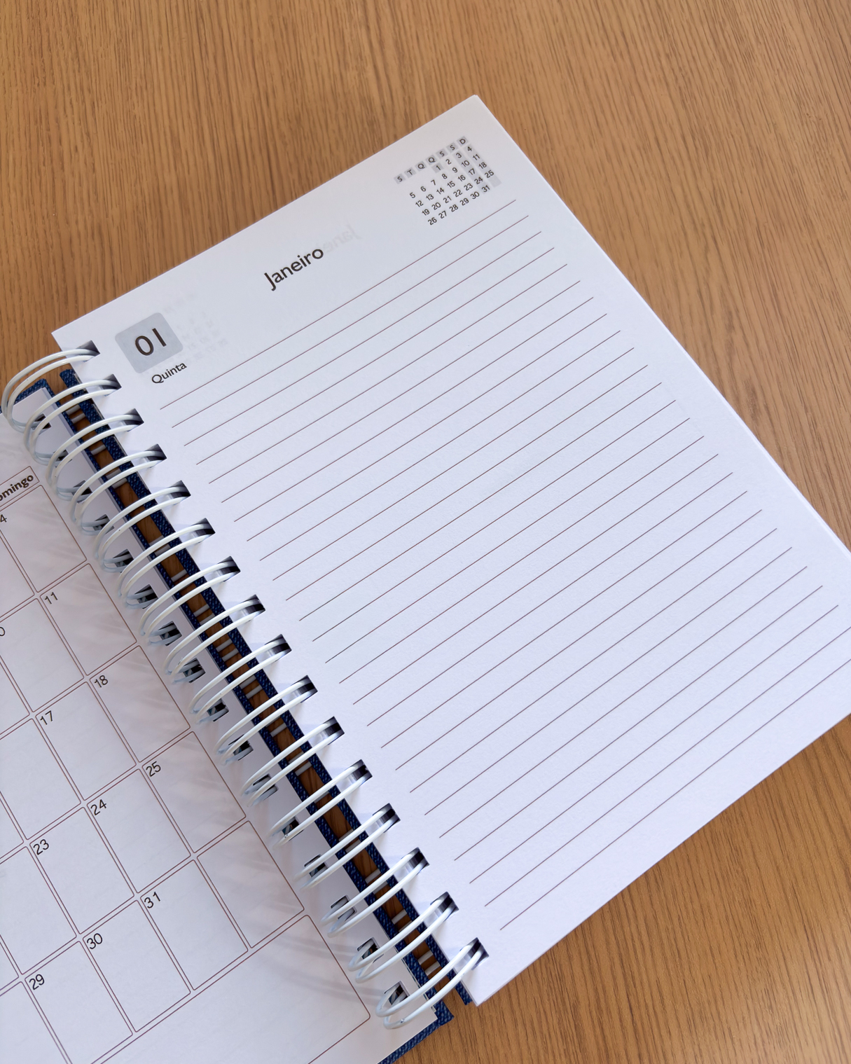 Agenda Neutra Personalizada 1DPP (SAB/DOM) DATADA