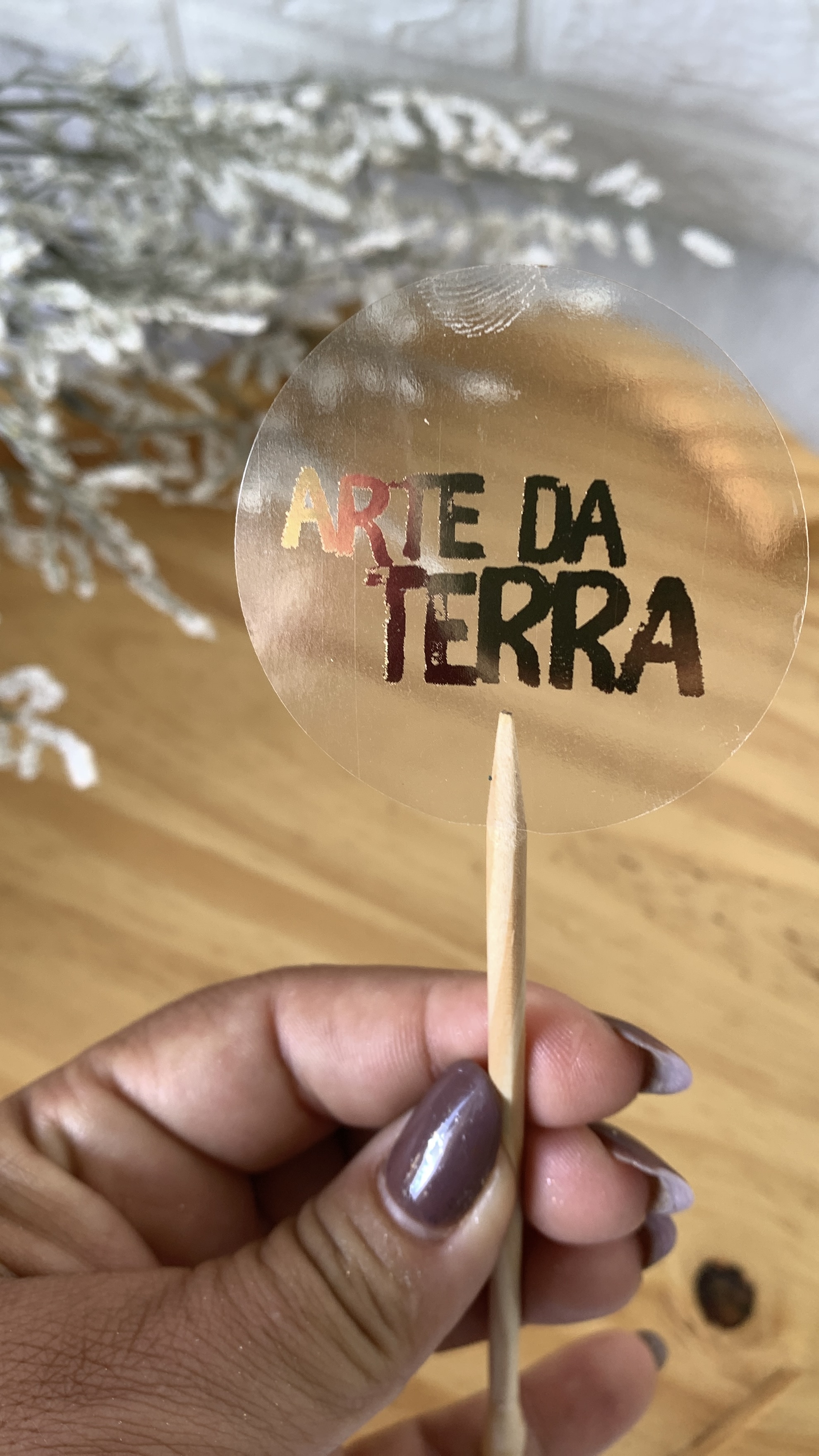 Etiqueta Transparente Redonda 5cm (50 UND)