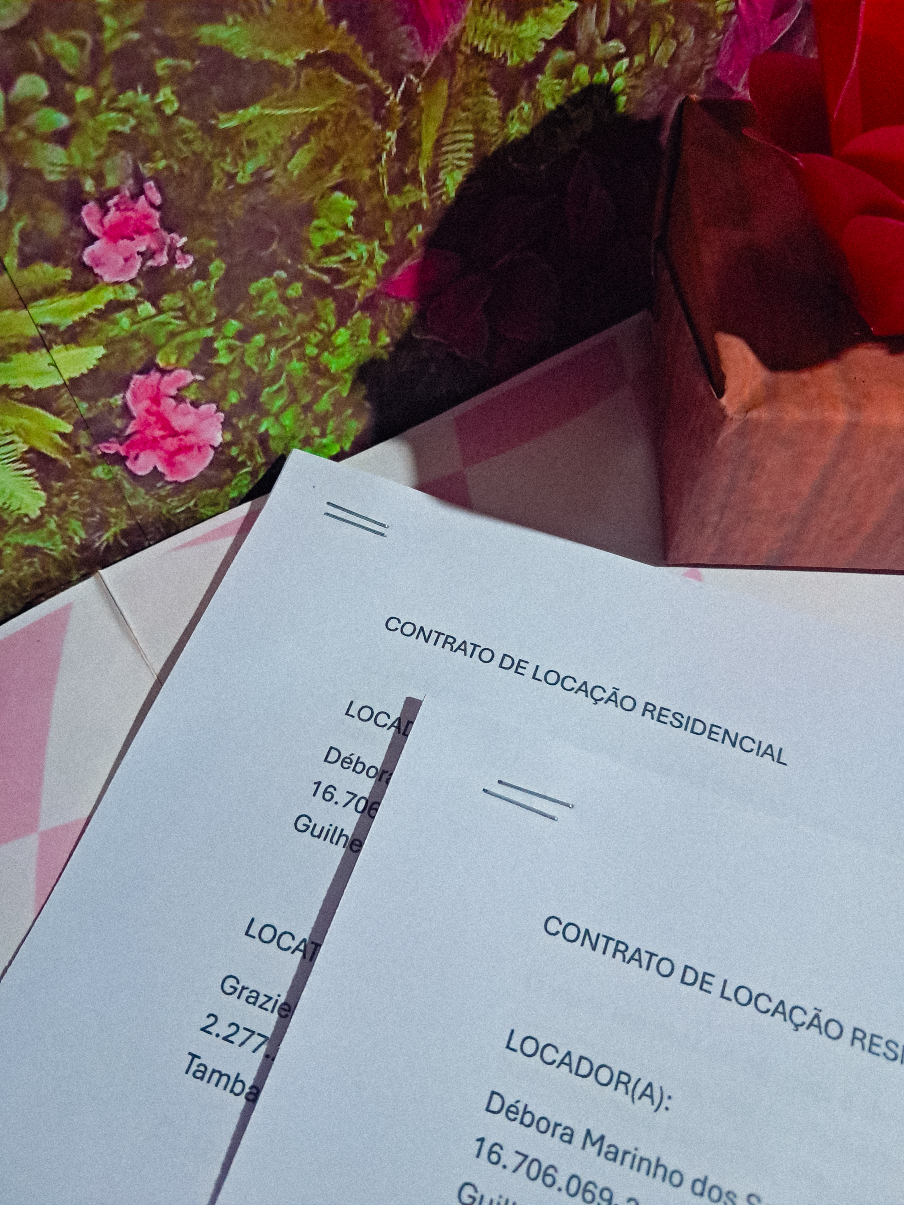 Emissão de Contrato E Documentos