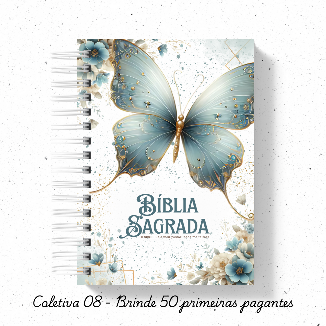 Biblia Sagrada versão NVI ou JFA