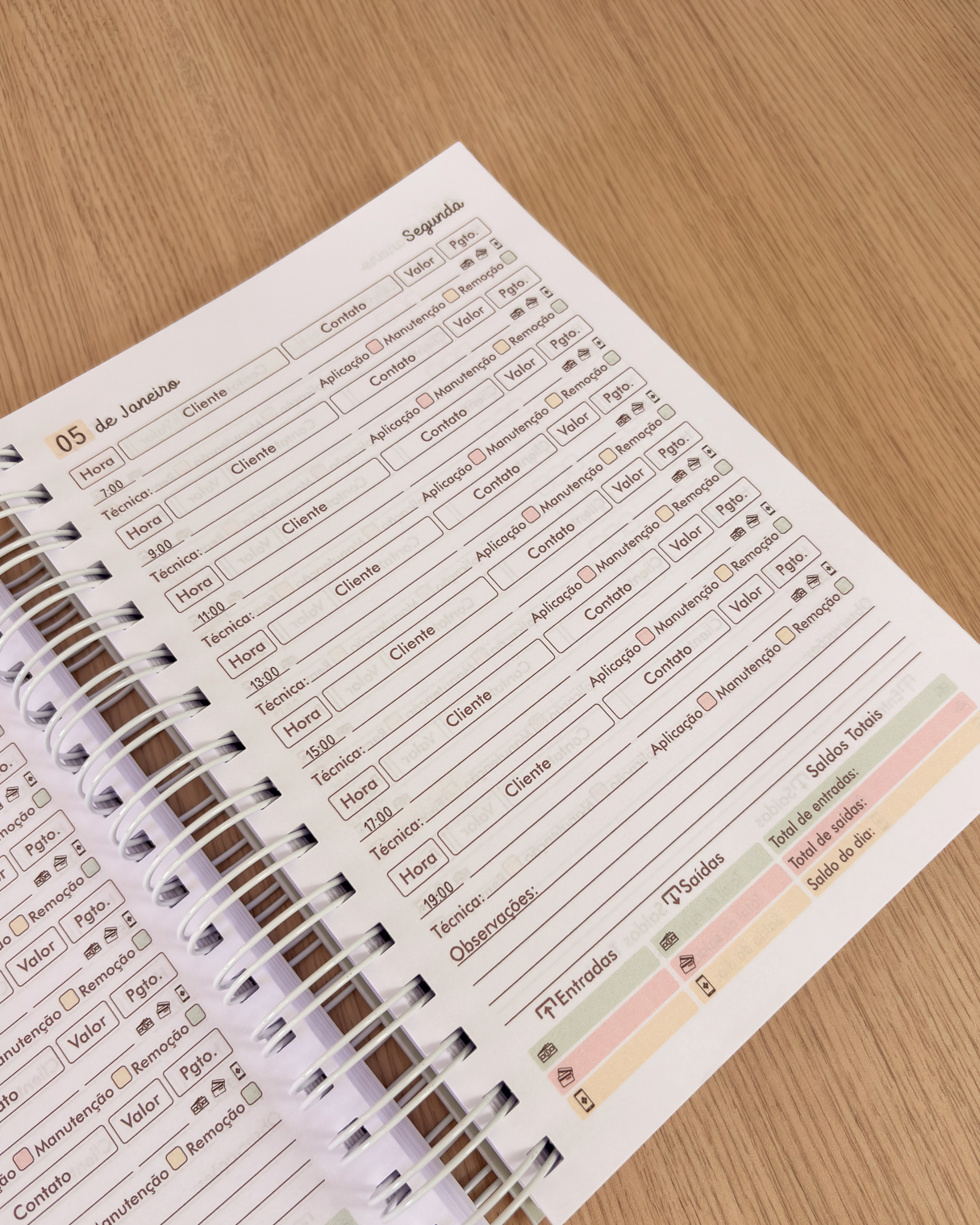 Agenda Agendamento Nail Designer