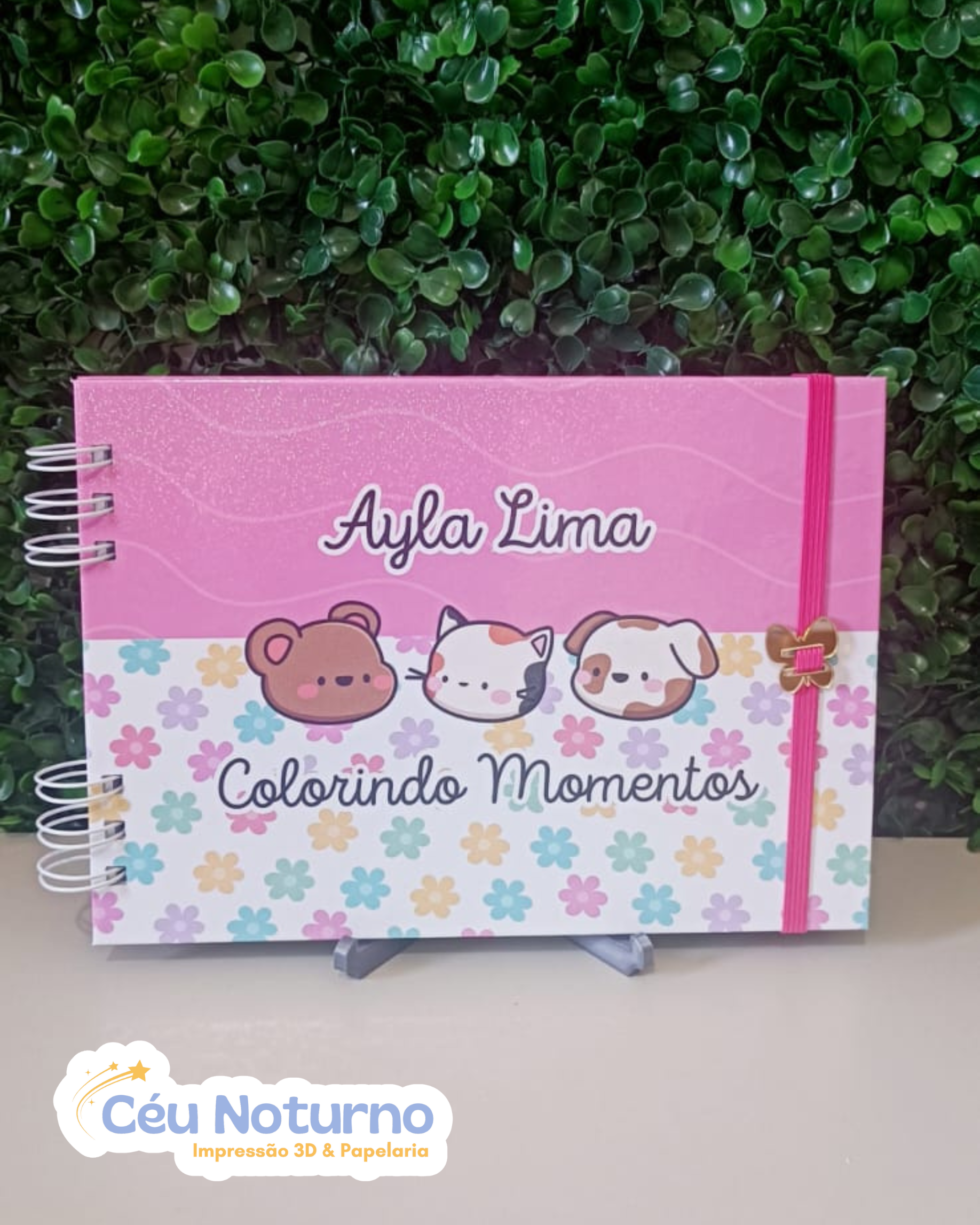 Colorindo Momentos