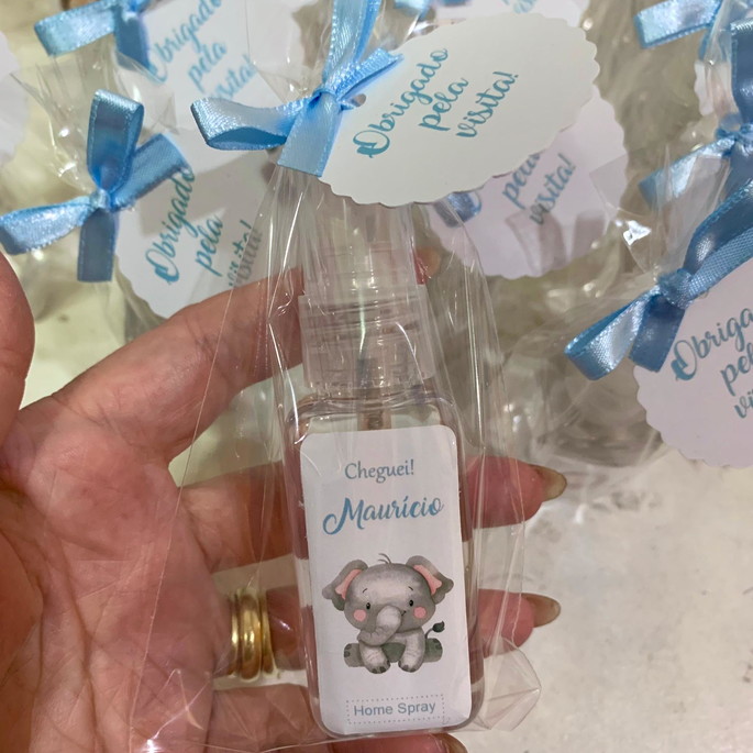 Mini Home Spray III