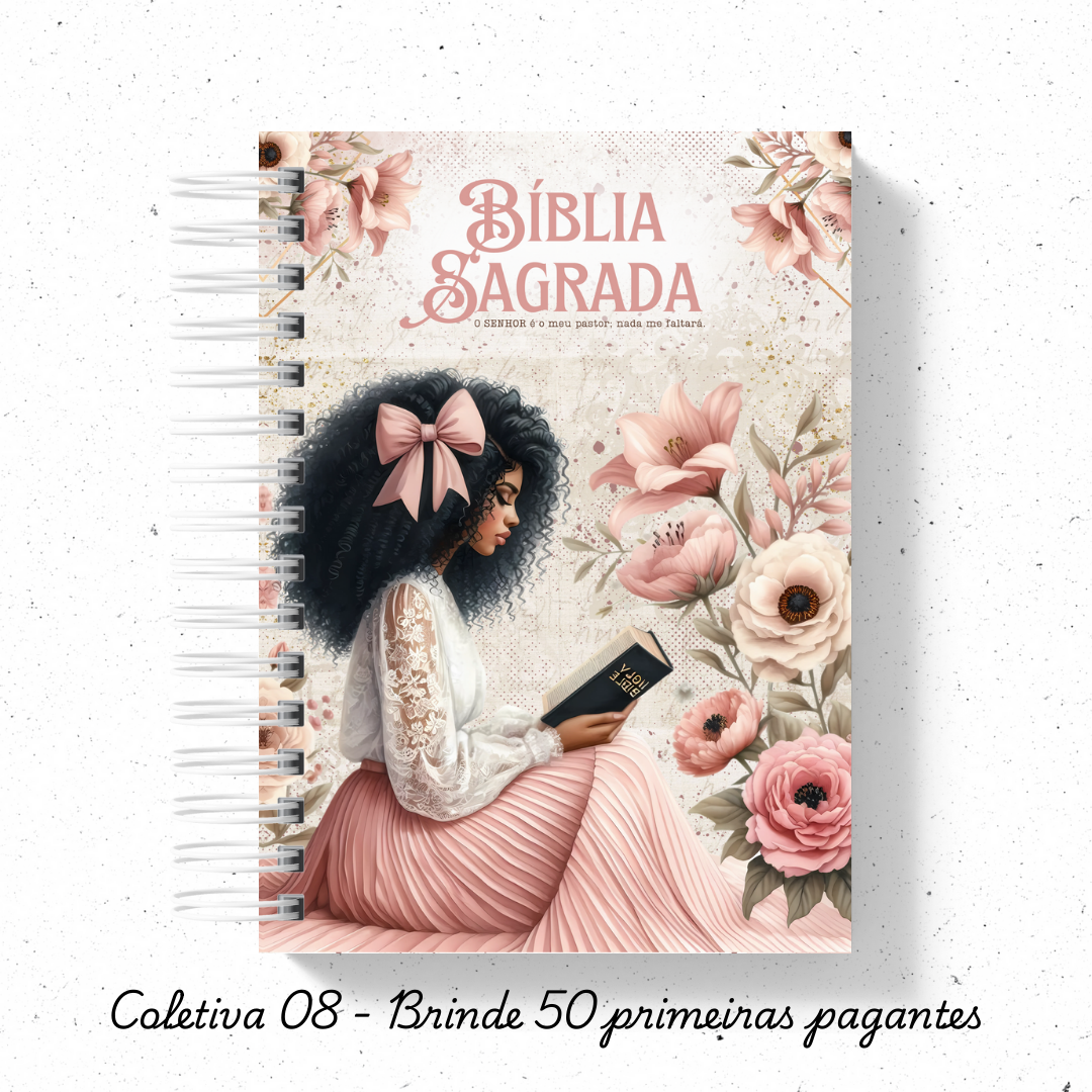 Biblia Sagrada Mulher Virtuosa versão NVI ou JFA