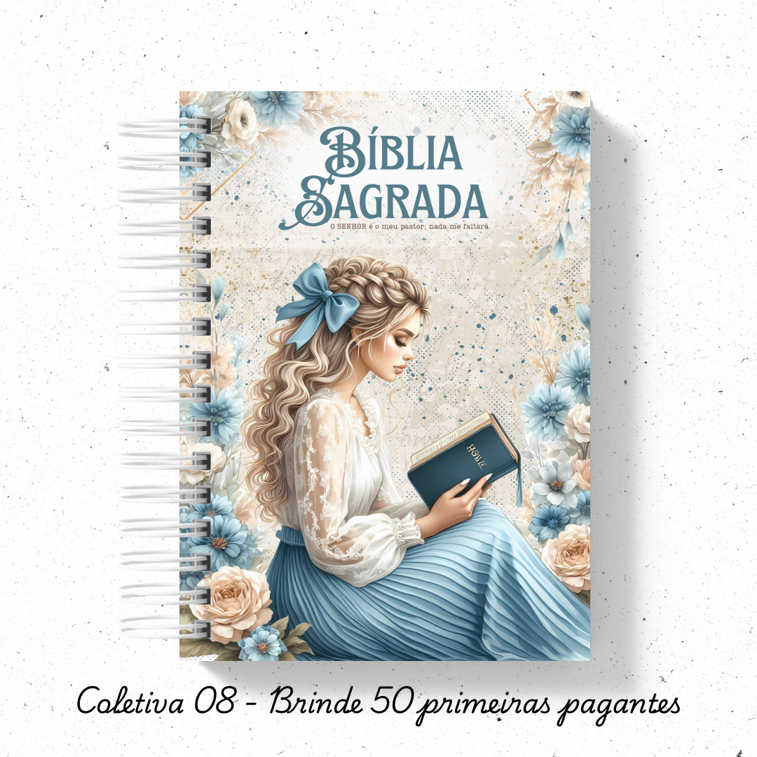 Biblia Sagrada Mulher Virtuosa versão NVI ou JFA