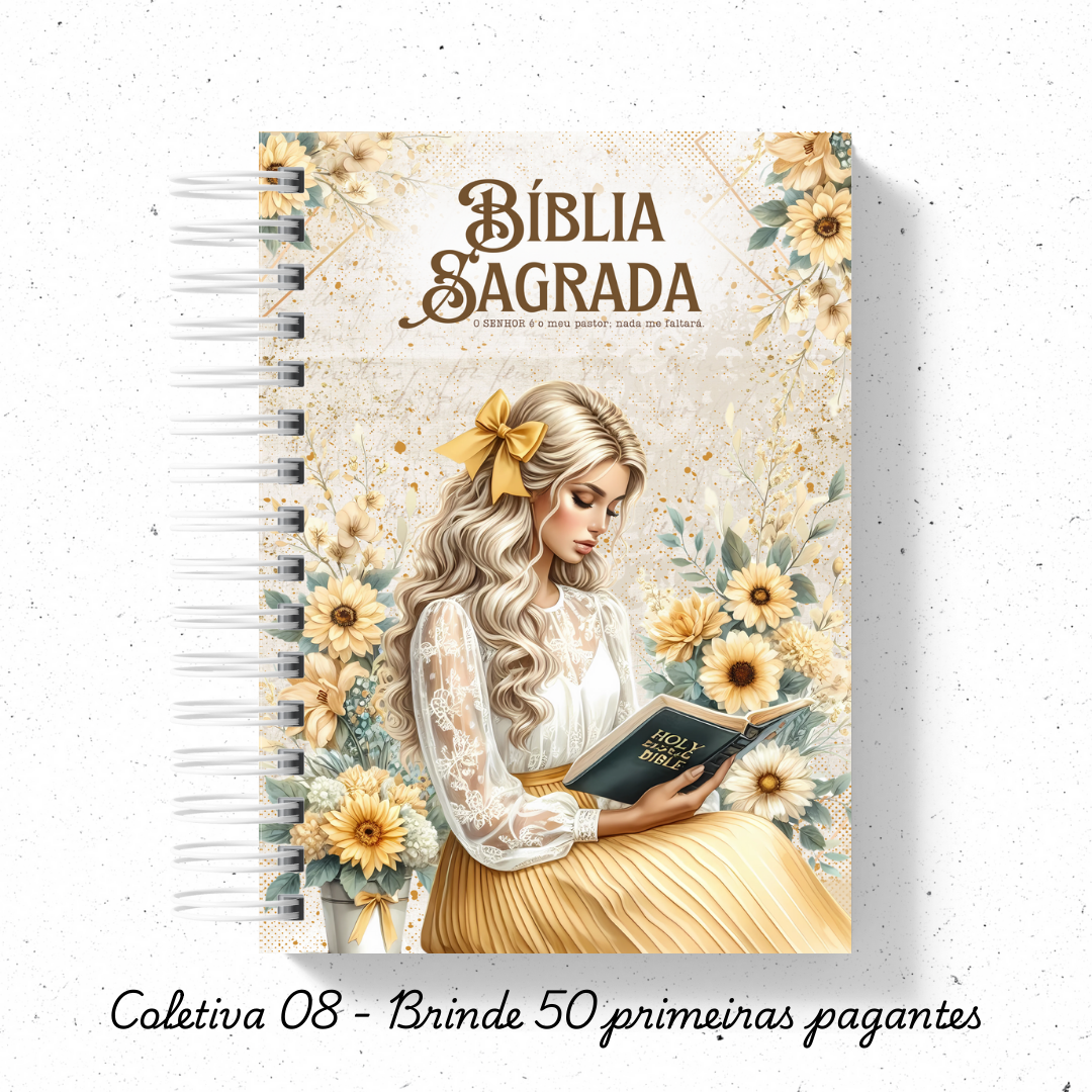 Biblia Sagrada Mulher Virtuosa versão NVI ou JFA