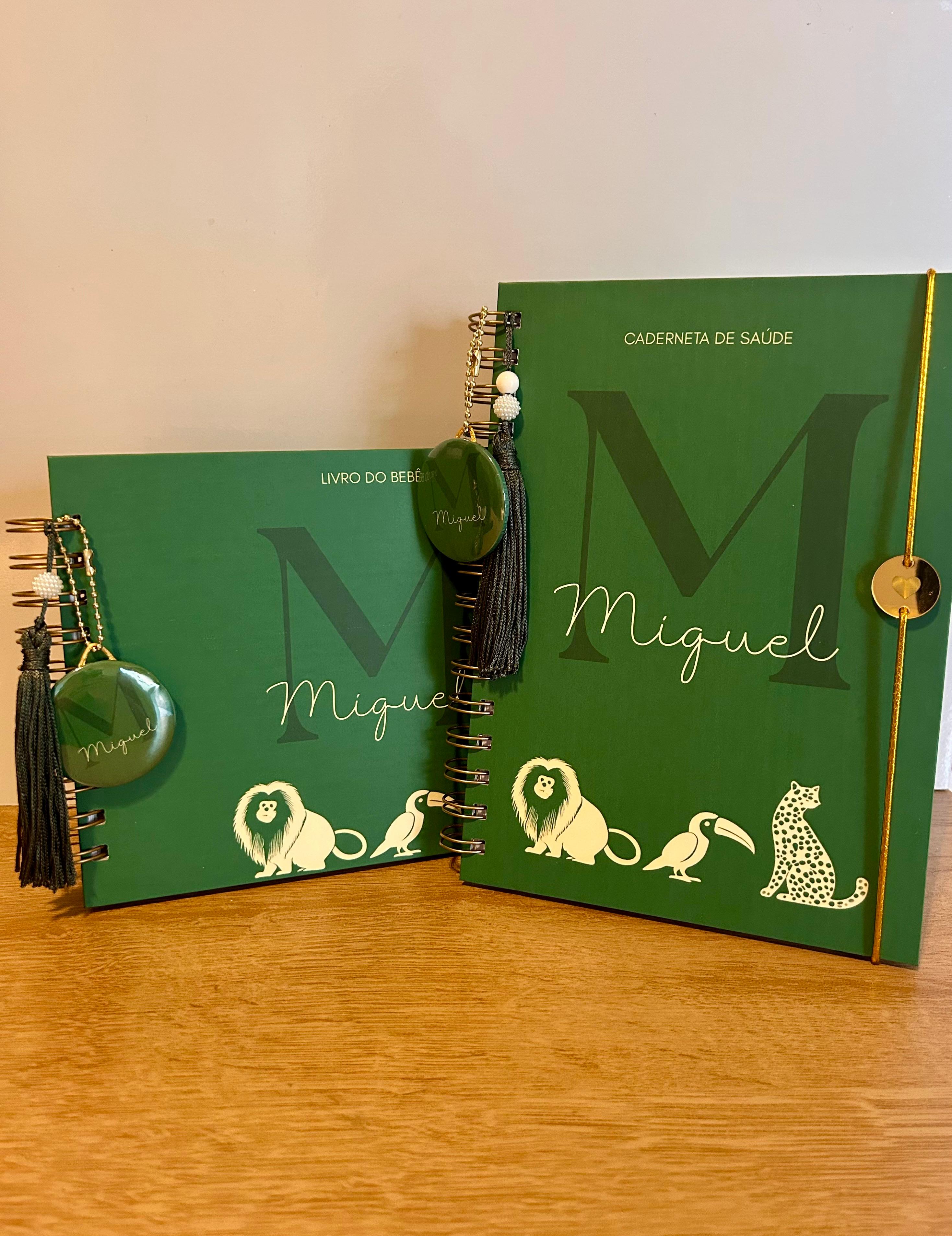 Kit maternidade - Caderneta + livro do bebê verde