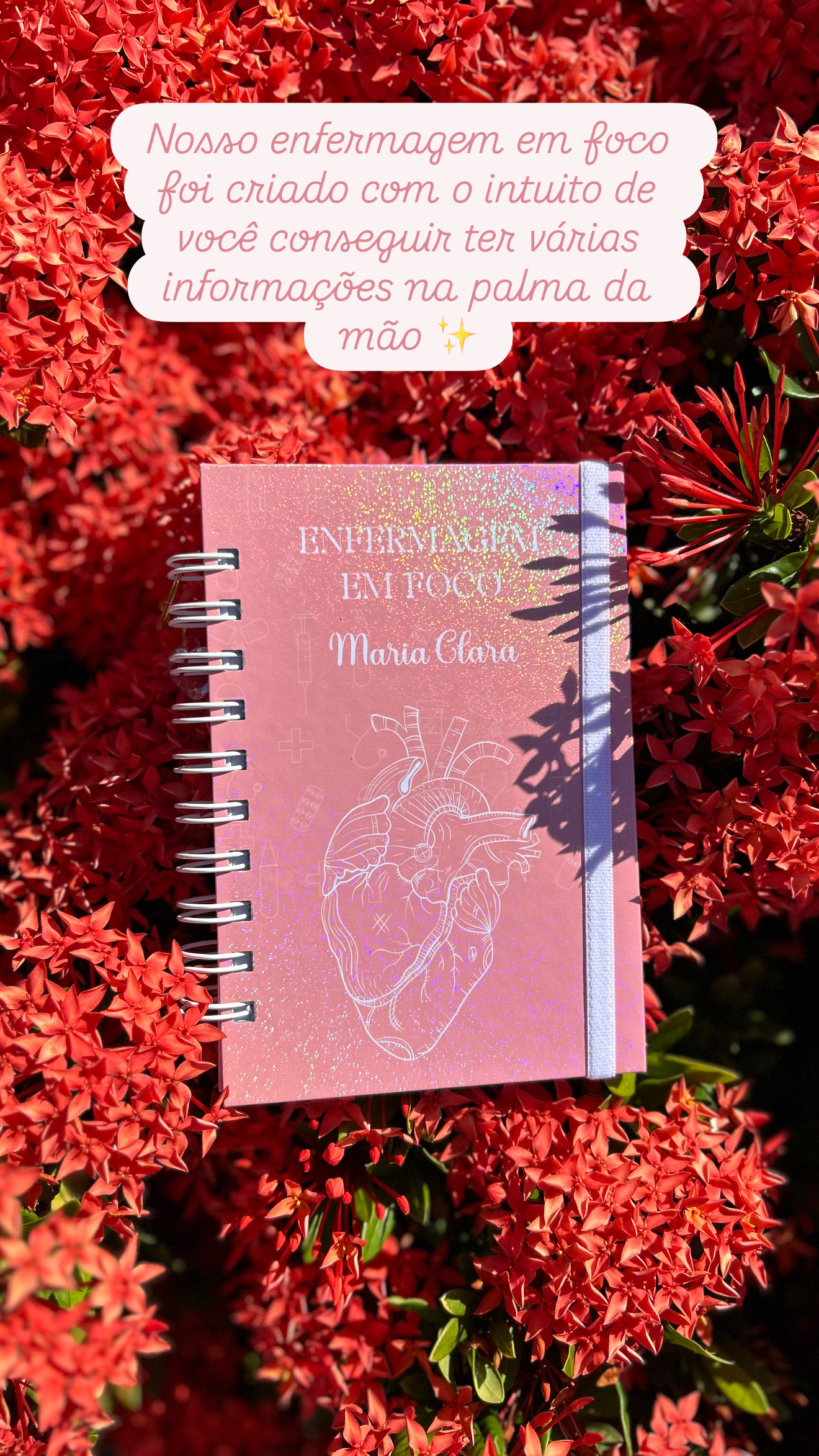 CADERNO DE REVISÃO
