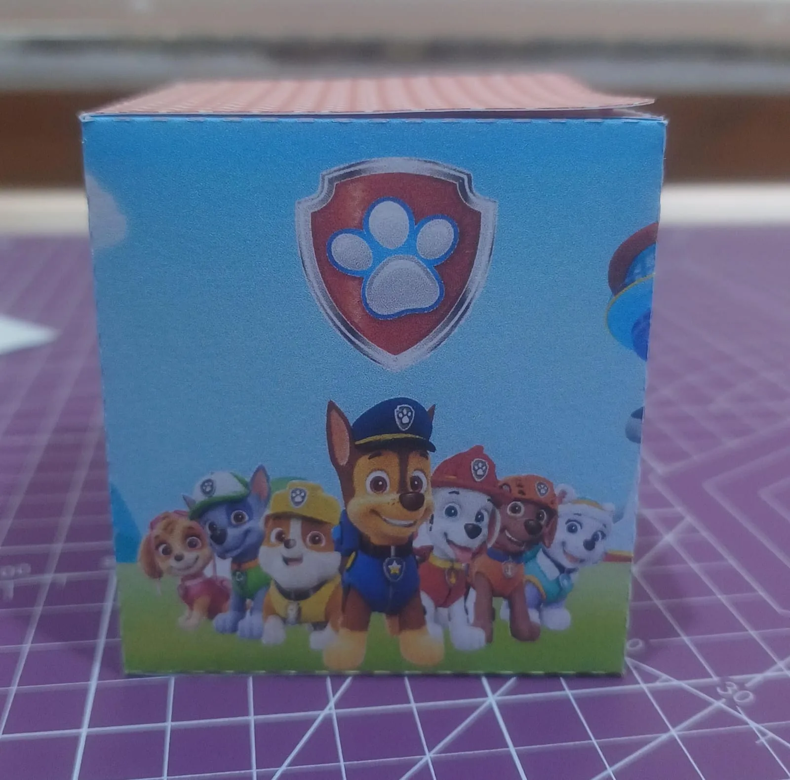 Caixa Cubo Patrulha Canina