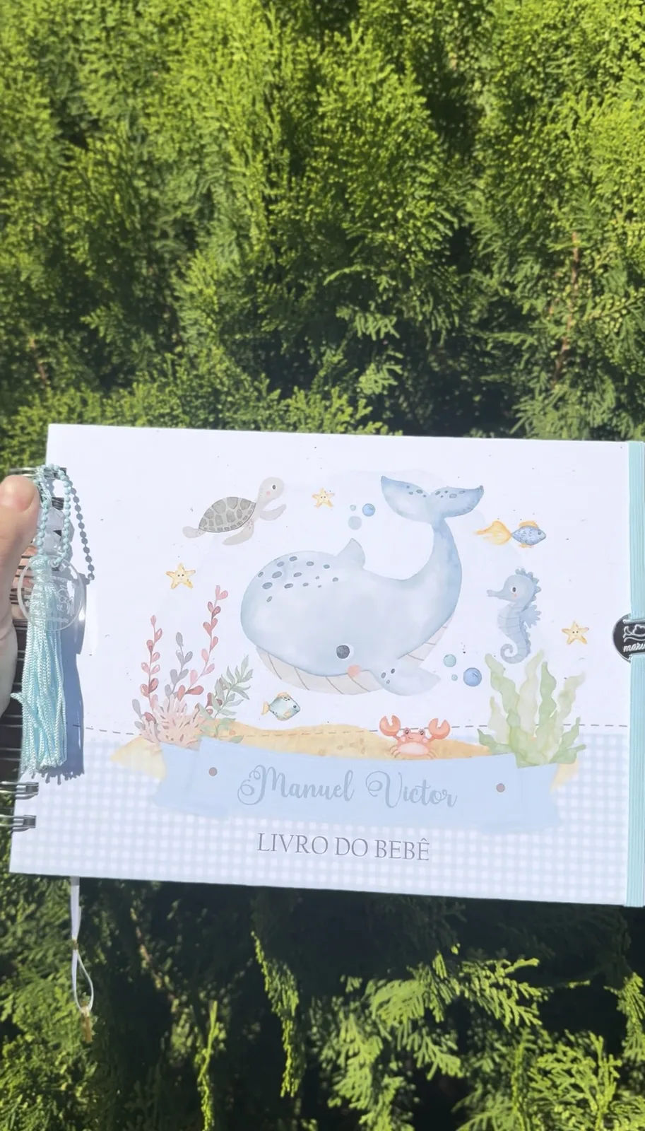 LIVRO DO BEBÊ