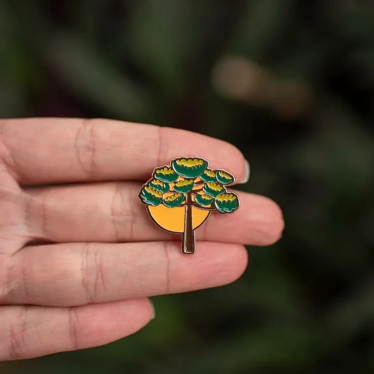 Pin Araucária