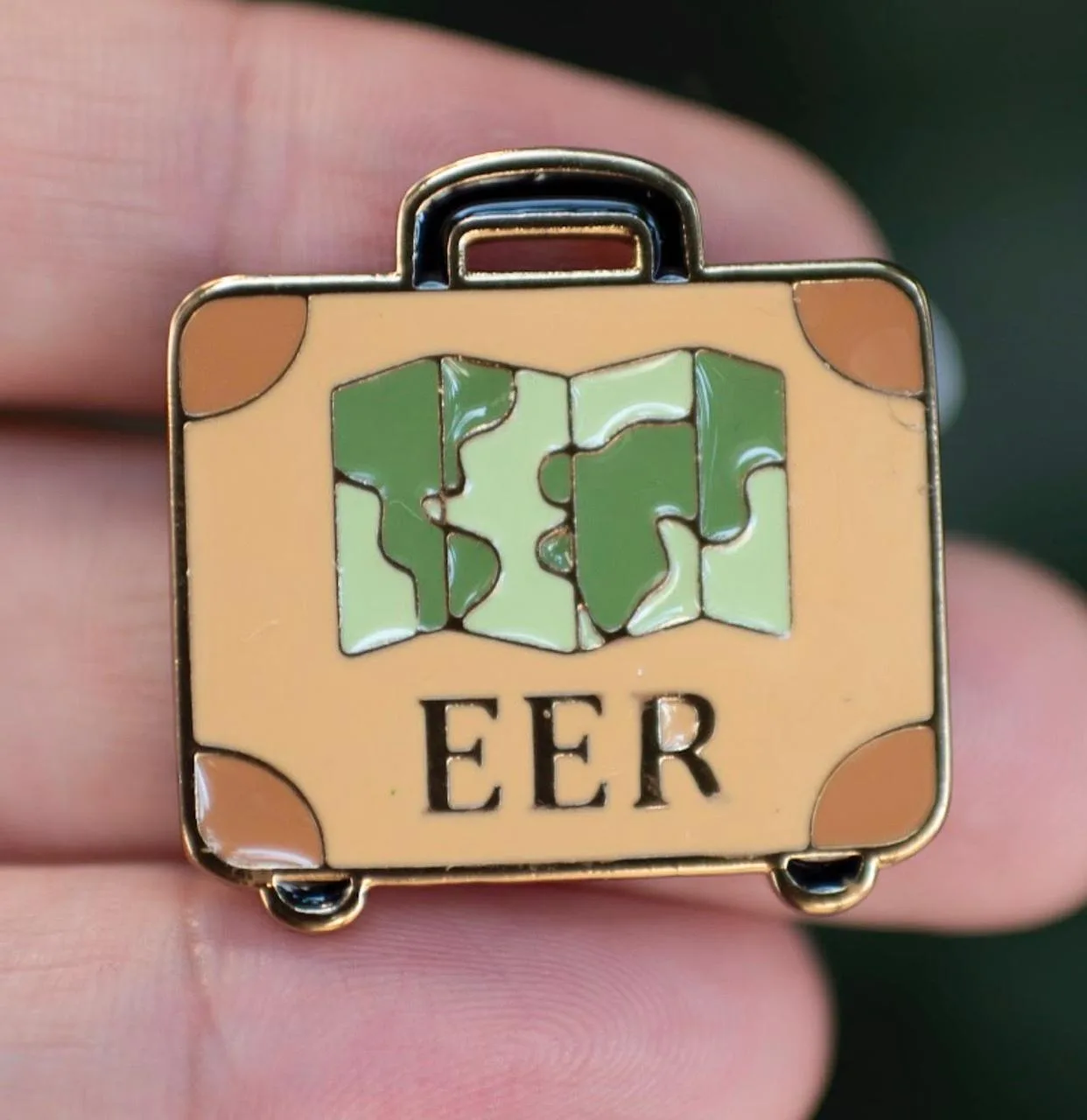 Pin EER mapa mundi