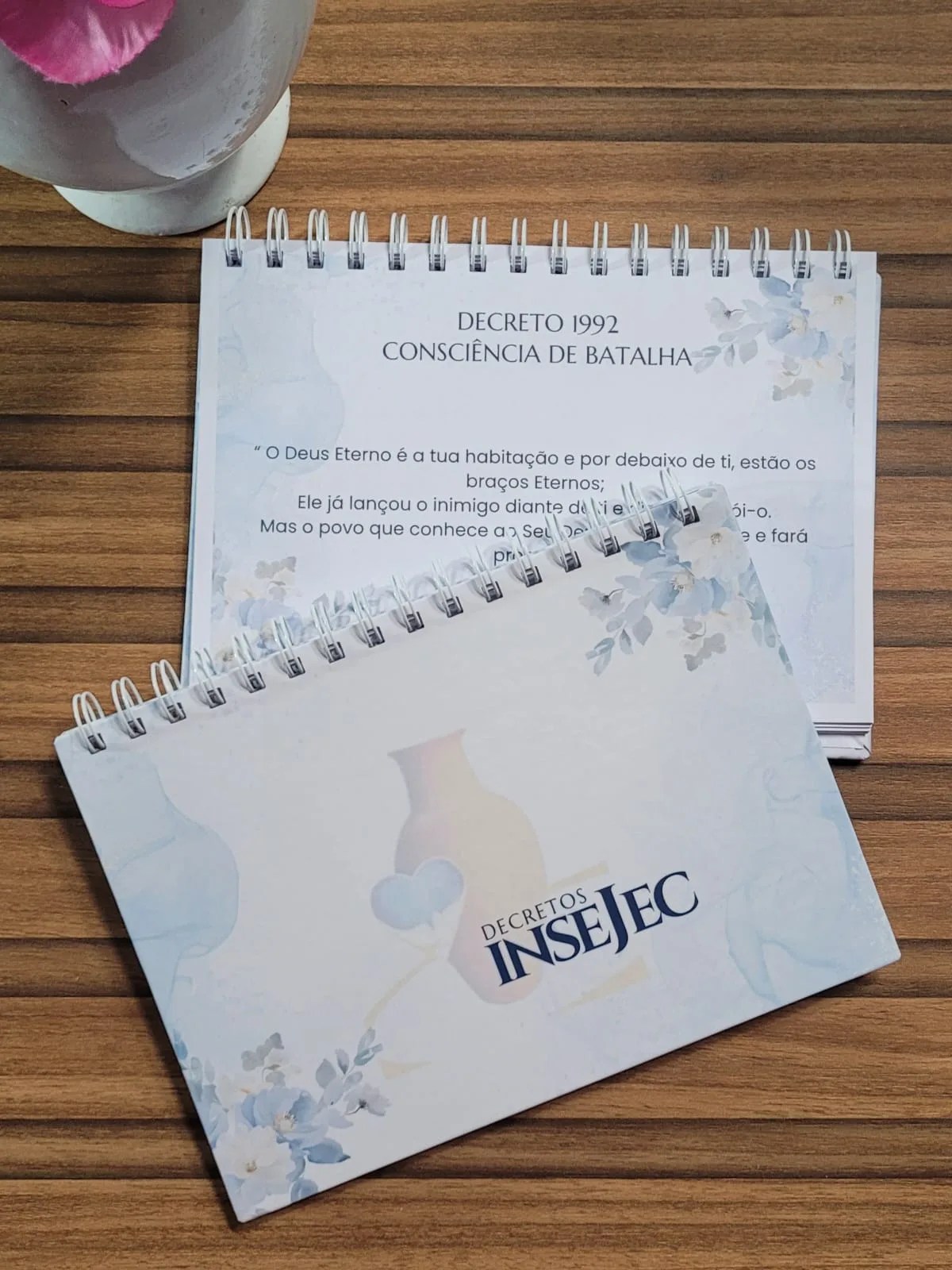 Caderno Decretos - INSEJEC (Cópia)
