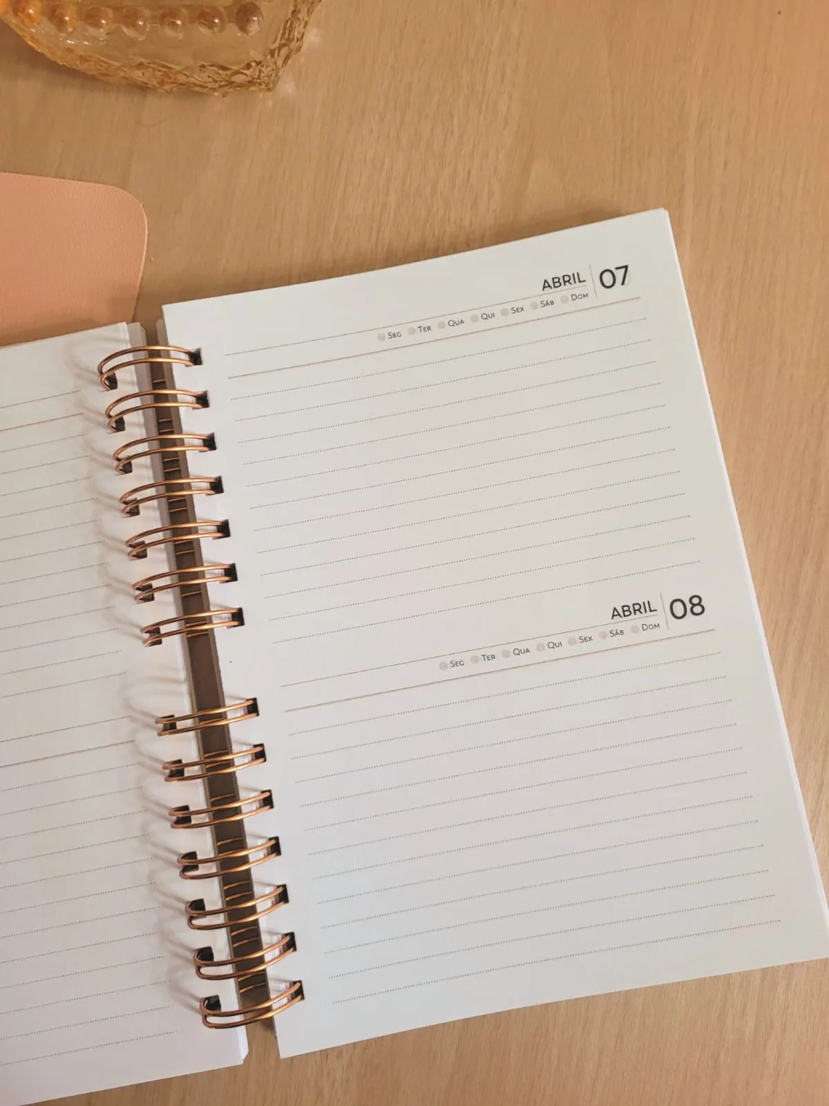 Agenda Permanente 2DPP