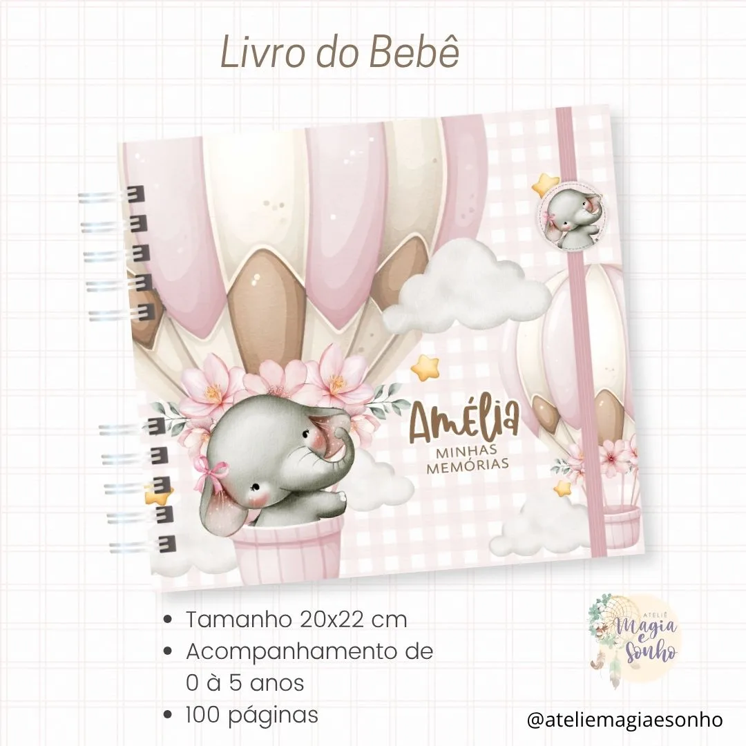 Livro do Bebê_Tema Baloeira (menina)